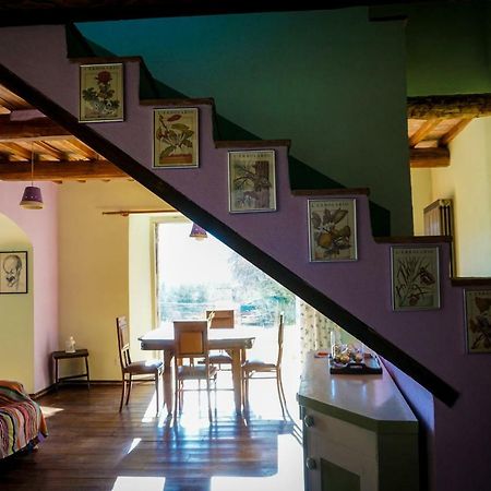 La Casina Di Giannetto Guest House Seggiano Exterior photo