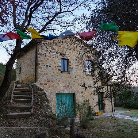 La Casina Di Giannetto Guest House Seggiano Exterior photo